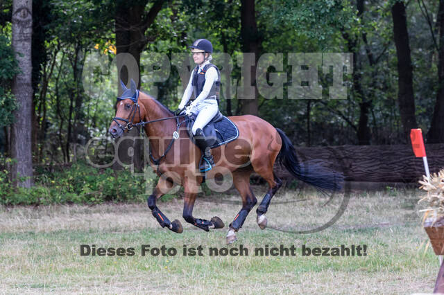 Late-Entry Vielseitigkeit Hamminkeln/Wesel (01.+02.08.2020)