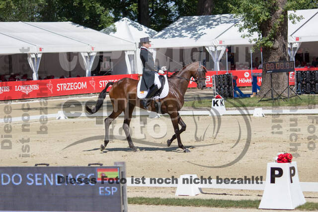 FEI European Championship Eventing 2017