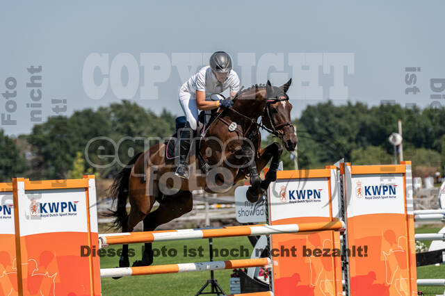 Kronenberg - De Peelbergen (August 2020)