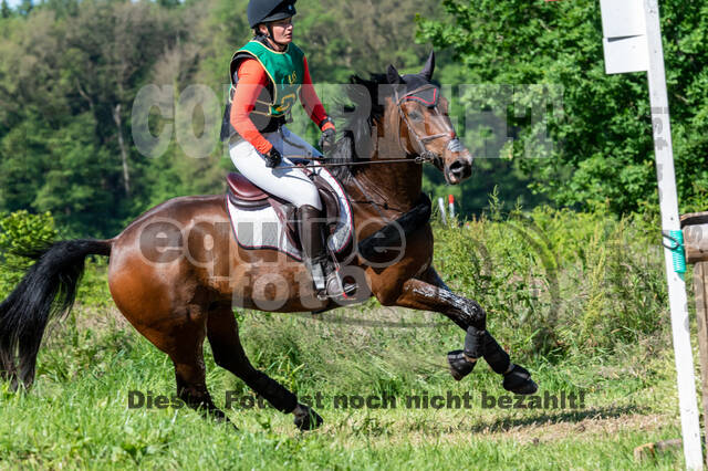 Westerstede Horse Trials (10.-13.06.2021)
