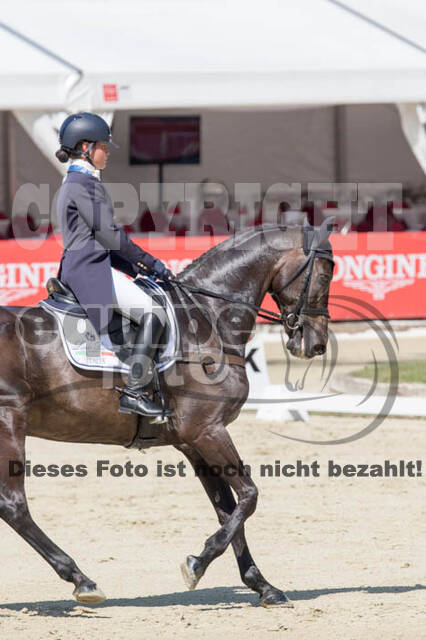 FEI European Championship