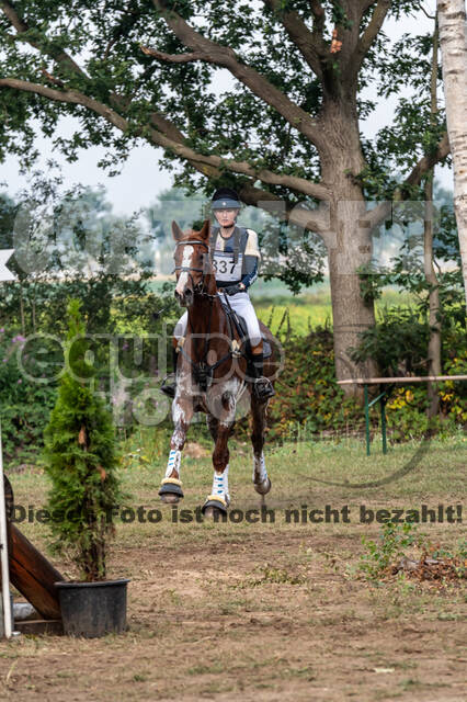De Peelbergen (August 2020)