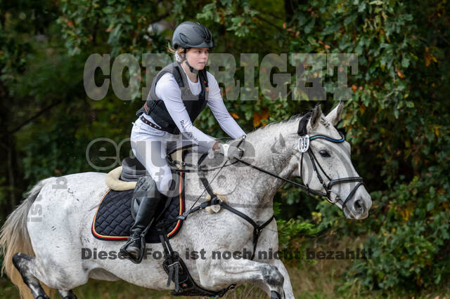 Goldene Schärpe 2020 - Pferde