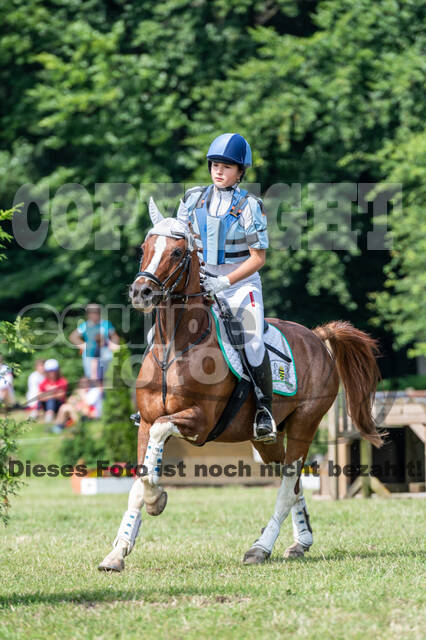 Goldene Schärpe 2021 - Ponys