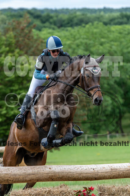 Bonn-Rodderberg Late-Entry-Vielseitigkeit (30.06.2020)