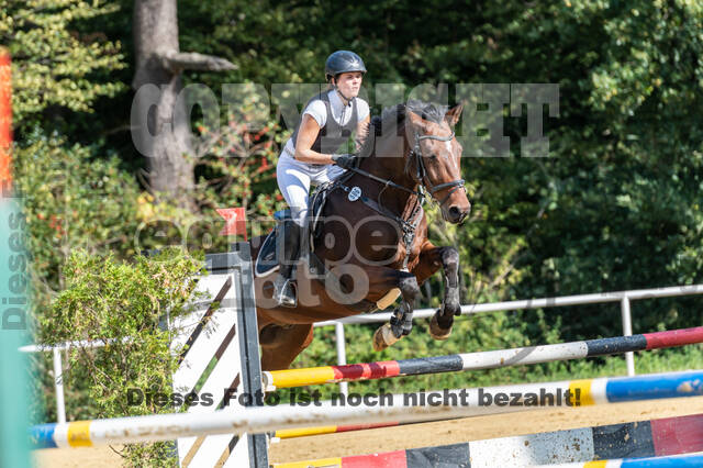 RFV Dinslaken-Hiesfeld (Herbstturnier)