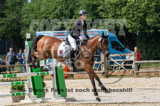Goldene Schärpe 2021 - Ponys