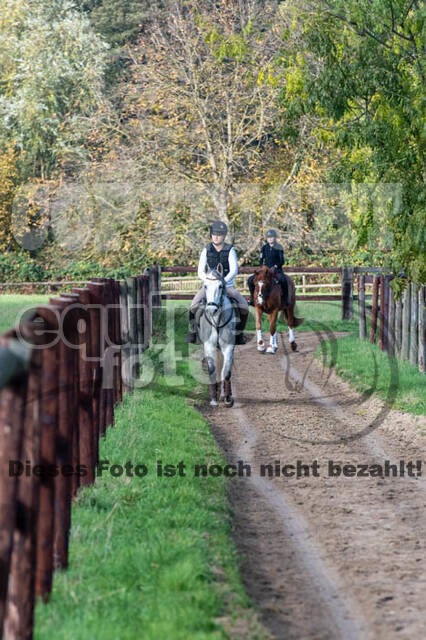 Vielseitigkeitslehrgang mit Jürg Kurbel (9.+10.11.2019)