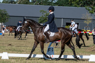 Kronenberg - De Peelbergen (August 2020)