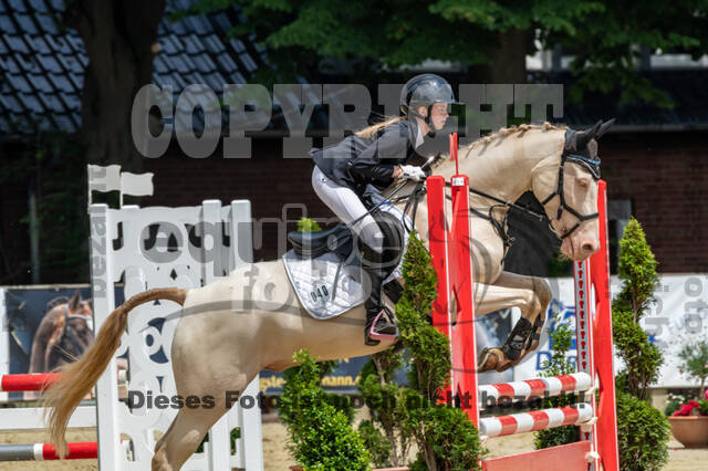 Goldene Schärpe 2021 - Ponys