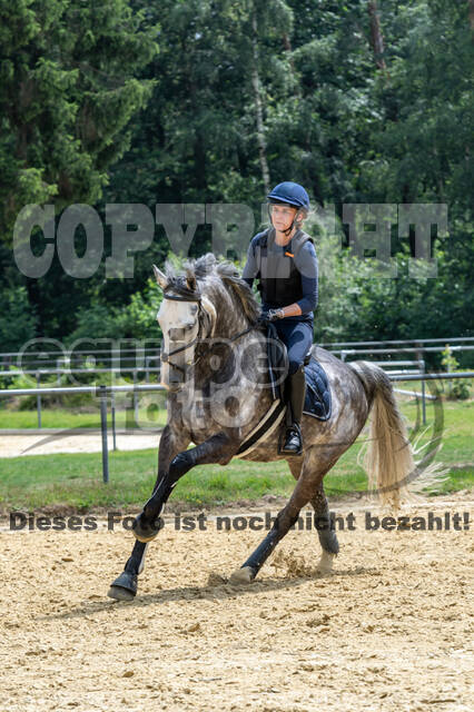 Hunter Geländetraining 10.07.2021 (Sonsbeck)