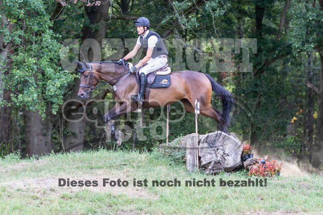 Late-Entry Vielseitigkeit Hamminkeln/Wesel (01.+02.08.2020)