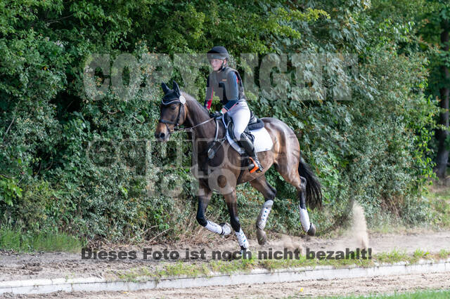 Late-Entry-Vielseitigkeit Langenfeld (11.+13./14.06.2020)