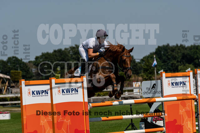 Kronenberg - De Peelbergen (August 2020)