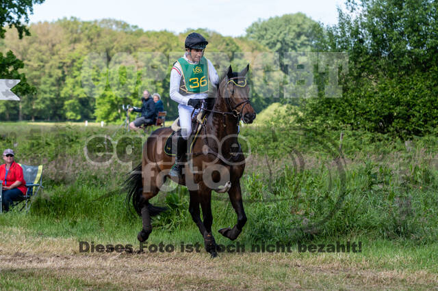 Westerstede Horse Trials (10.-13.06.2021)
