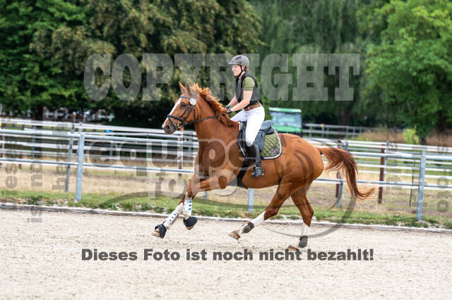 Late-Entry-Vielseitigkeit Langenfeld (11.+13./14.06.2020)