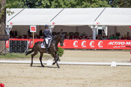 FEI European Championship