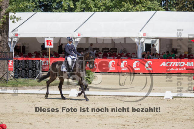 FEI European Championship