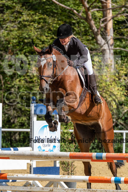 RFV Dinslaken-Hiesfeld (Herbstturnier)