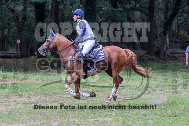 Late-Entry Vielseitigkeit Hamminkeln/Wesel (01.+02.08.2020)