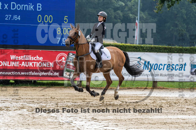 Goldene Schärpe 2021 - Ponys