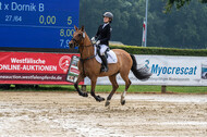 Goldene Schärpe 2021 - Ponys