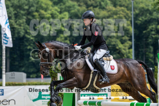 Goldene Schärpe 2021 - Ponys