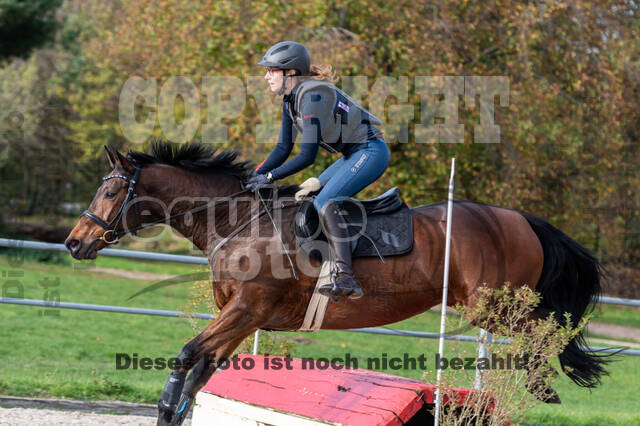 IGV Lehrgang der Sieger der Cups mit Frank Ostholt