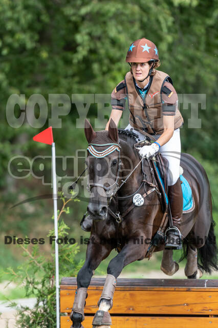 Late-Entry-Vielseitigkeit Langenfeld (06.+07.07.2020)