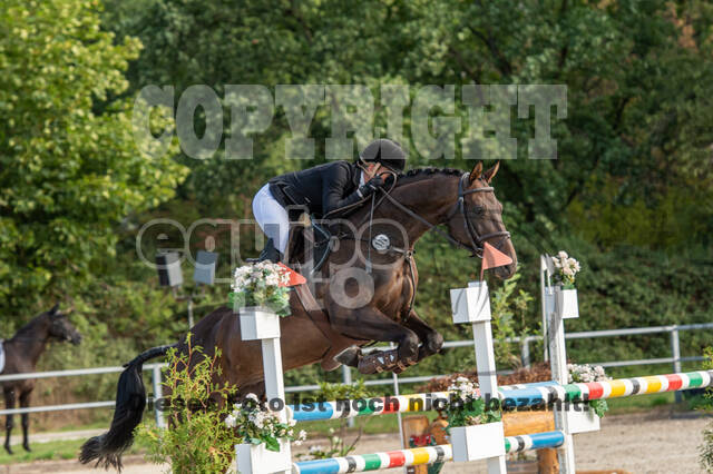 Landesturnier Rheinland, Vielseitigkeit, 22.+23.08.2020