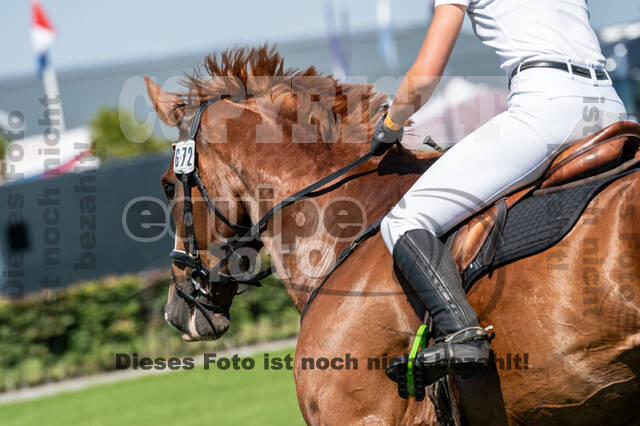 Kronenberg - De Peelbergen (August 2020)