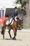 FEI European Championship Eventing 2017