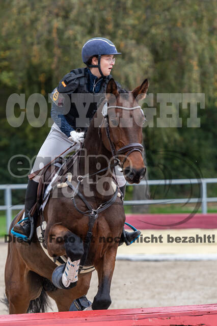 Goldene Schärpe 2020 - Pferde