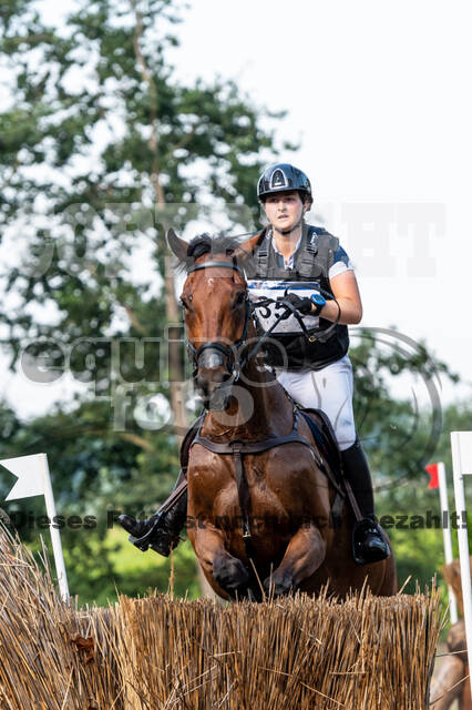 De Peelbergen (August 2020)