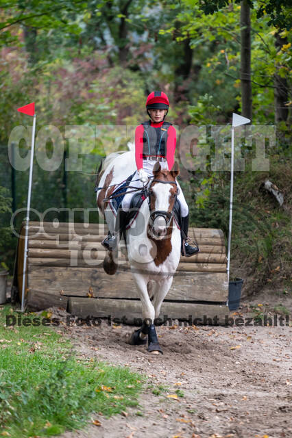 Goldene Schärpe 2020 - Pferde