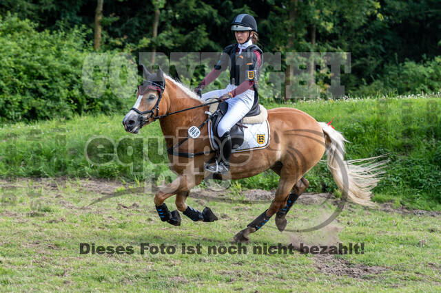 Goldene Schärpe 2021 - Ponys