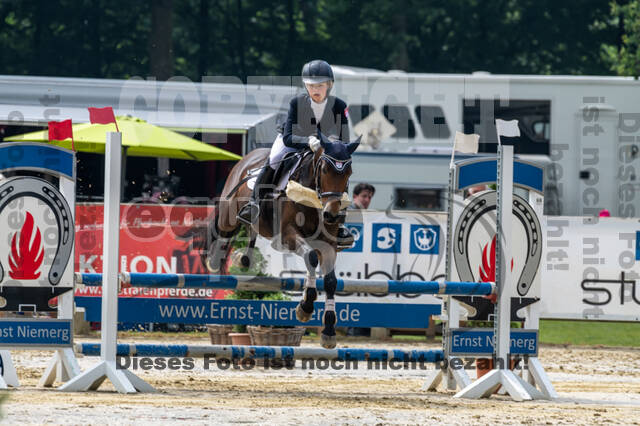 Goldene Schärpe 2021 - Ponys