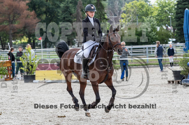 Late-Entry-Vielseitigkeit Langenfeld (06.+07.07.2020)