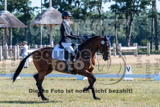 Kronenberg - De Peelbergen (August 2020)