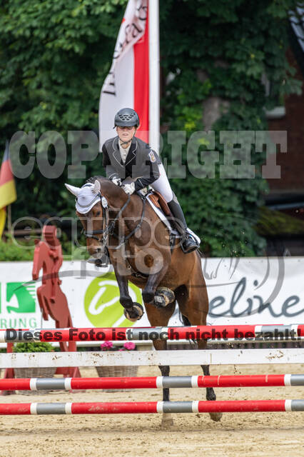 Goldene Schärpe 2021 - Ponys