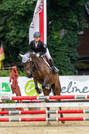 Goldene Schärpe 2021 - Ponys