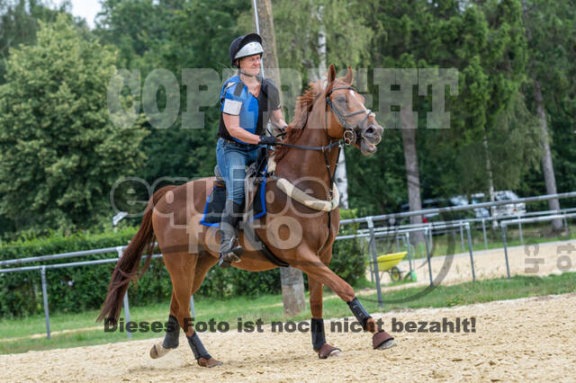 Hunter Geländetraining 10.07.2021 (Sonsbeck)