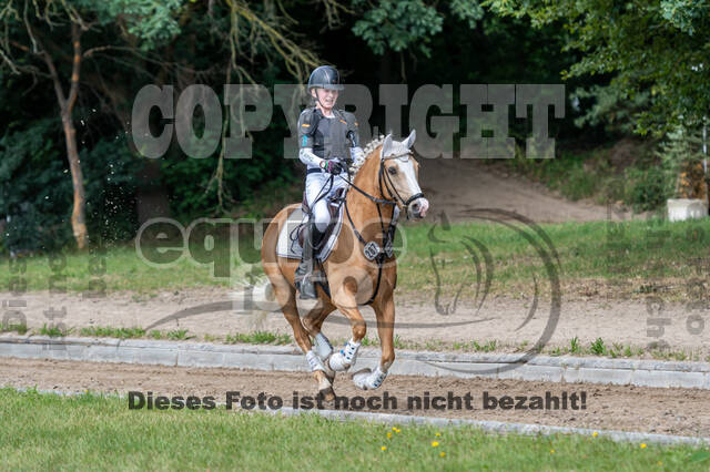 Late-Entry-Vielseitigkeit Langenfeld (11.+13./14.06.2020)