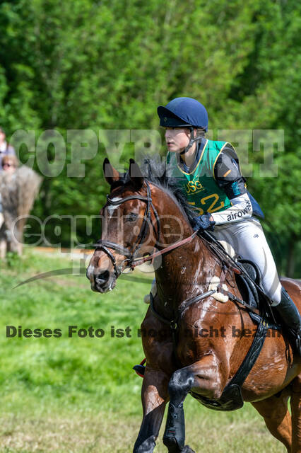 Westerstede Horse Trials (10.-13.06.2021)