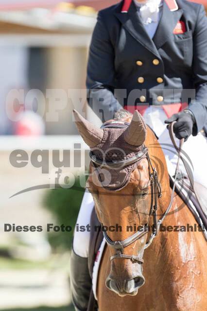 FEI European Championship Eventing 2017