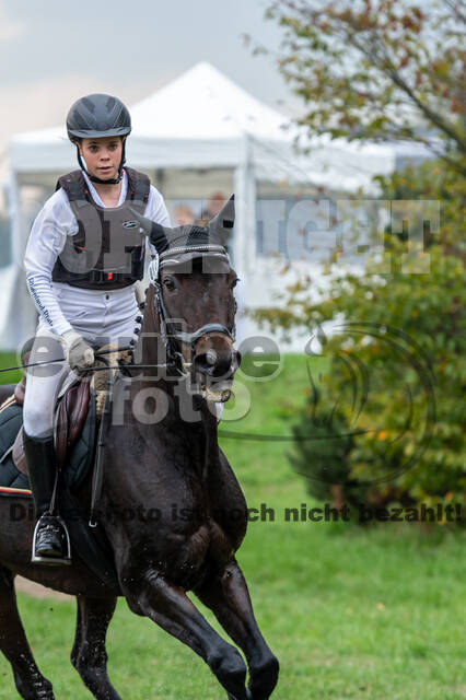 Goldene Schärpe 2020 - Pferde