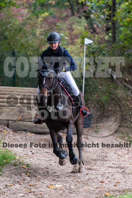 Goldene Schärpe 2020 - Pferde