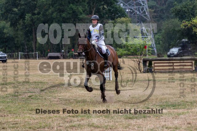 Late-Entry Vielseitigkeit Hamminkeln/Wesel (01.+02.08.2020)