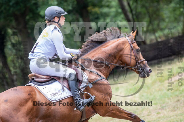 Late-Entry Vielseitigkeit Hamminkeln/Wesel (01.+02.08.2020)