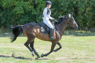 Vielseitigkeitsturnier RSV St. Hubertus Wesel Obrighoven